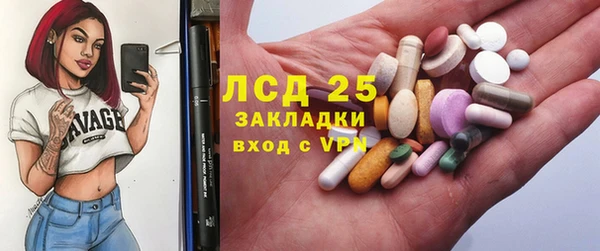 прущие грибы Касимов