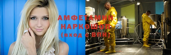 прущие грибы Касимов