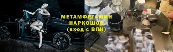 прущие грибы Касимов