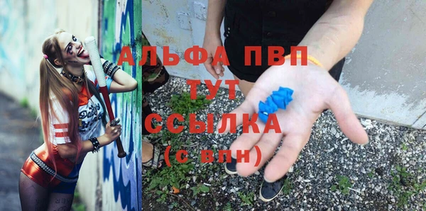 прущие грибы Касимов