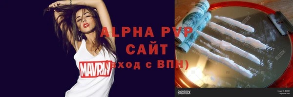 прущие грибы Касимов