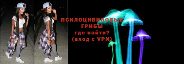 прущие грибы Касимов