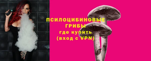 прущие грибы Касимов