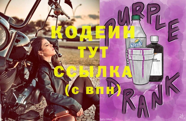 прущие грибы Касимов