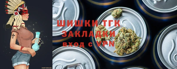 прущие грибы Касимов