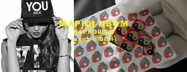 прущие грибы Касимов