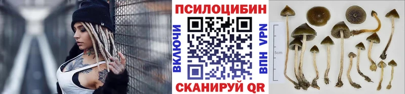 Купить где  Еманжелинск  Псилоцибиновые грибы ЛСД 