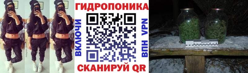 Купить закладки  Еманжелинск  Марихуана семена 